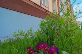 1-к. квартира, 30 м², 2/3 эт.