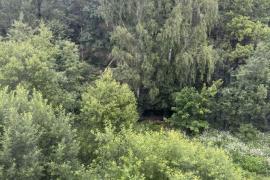 1-к кв. Калужская область, Калуга Московская ул., 315к2 (31.0 м²)