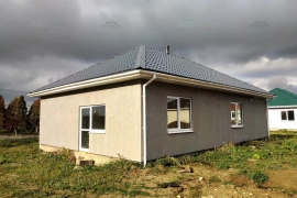 Дом 100м Горневская Слобода