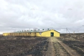 Телятник, Нестеровка