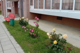 1-к. квартира, 43,6 м², 3/12 эт.