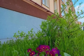 1-к. квартира, 30 м², 2/3 эт.