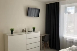 1-к. квартира, 30,1 м², 2/3 эт.