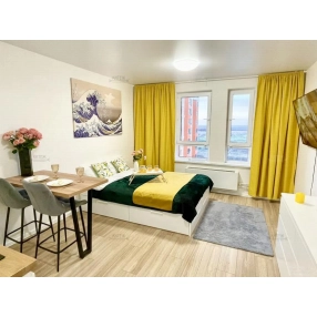 Квартира-студия, 24,3 м², 23/25 эт.